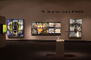 Wasp_exhibition__DSC3520
